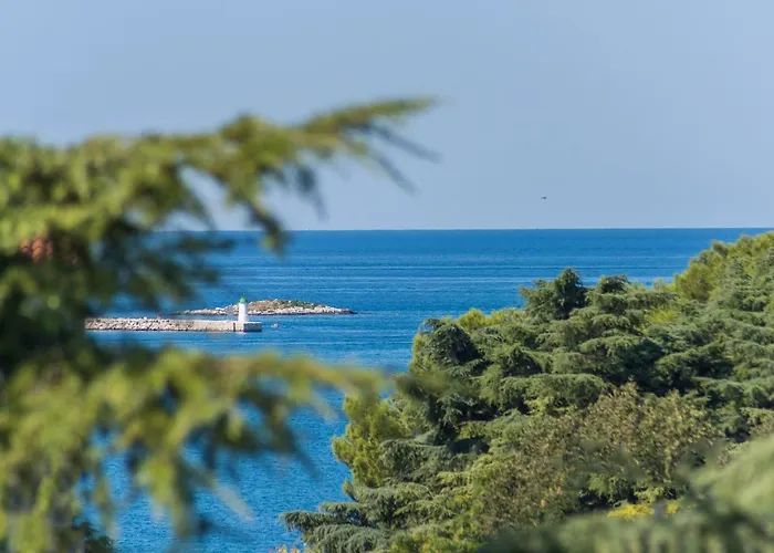 Maria アパート *